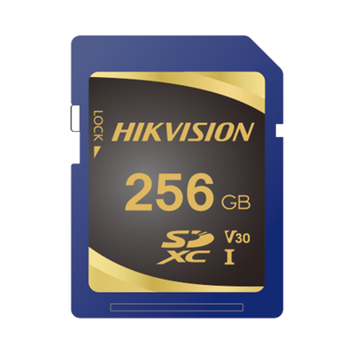 Memoria SD Clase 10 de 256 GB / Especializada Para Videovigilancia